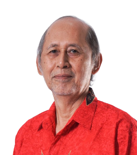 IR. Kemal Taruc